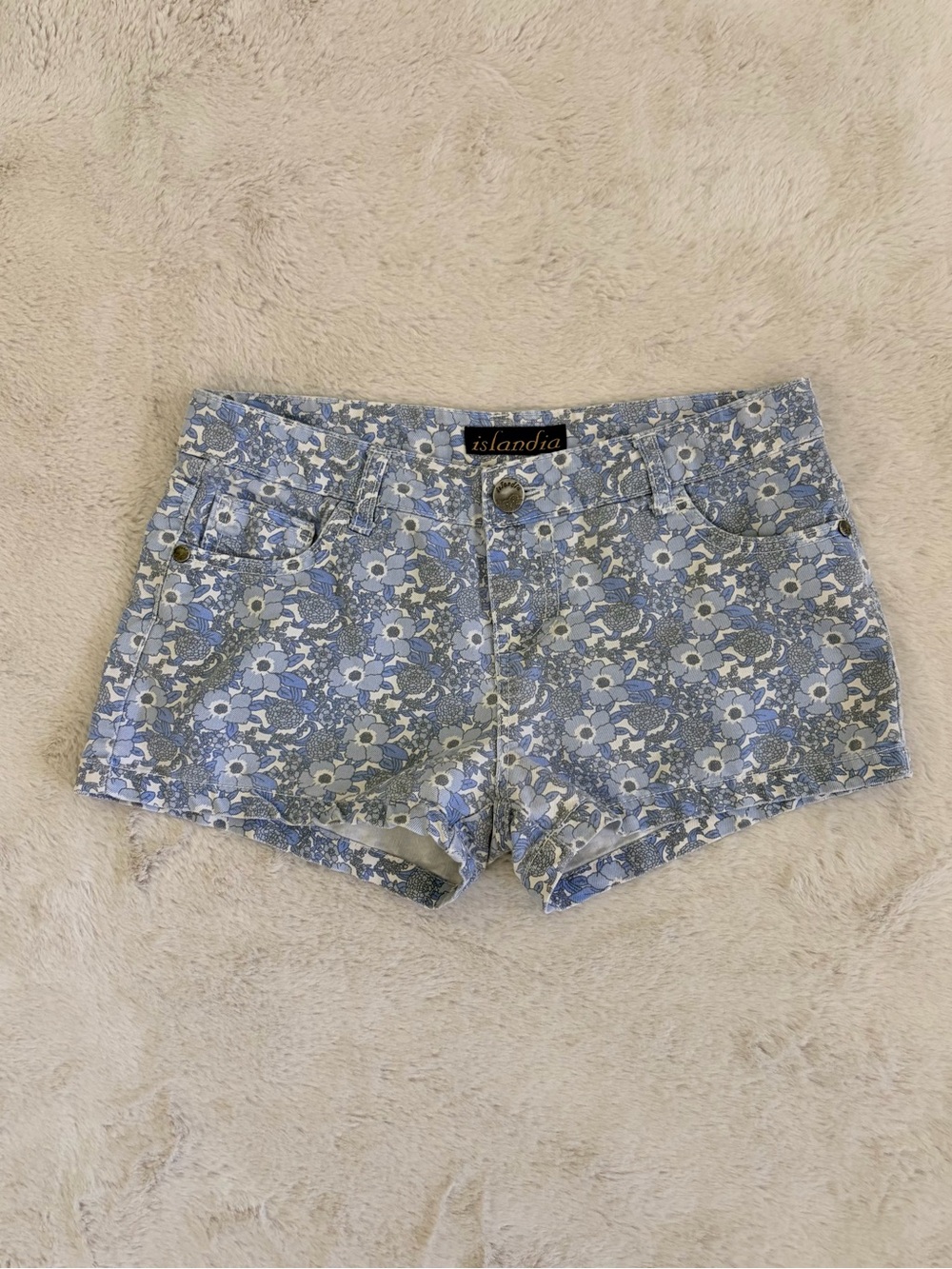 Islandia Blue Floral Print Denim Micro Shorts Y2K Low Rise Hot Shorts